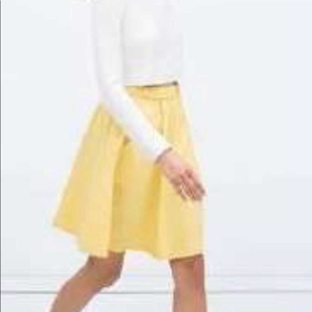 Zara midi skirt